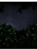 優艶の花 続 淫縛の館 V2步兵修复版【PC+存档+提取动画】日式SLG【1125】